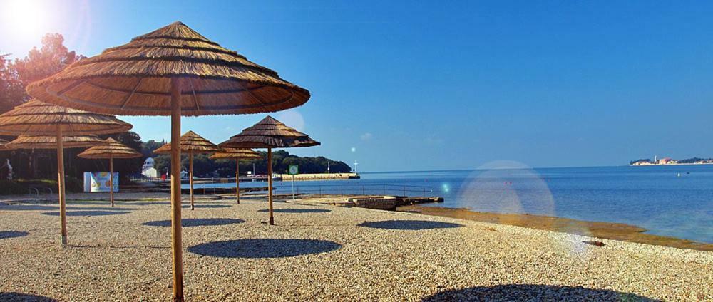 Villa Ulivo Apartments Пореч Екстериор снимка